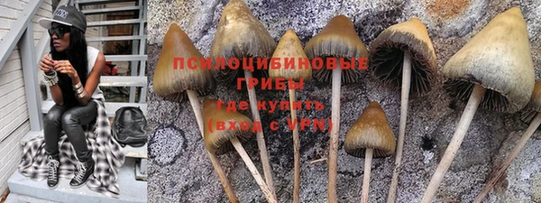 прущие крисы Вязьма