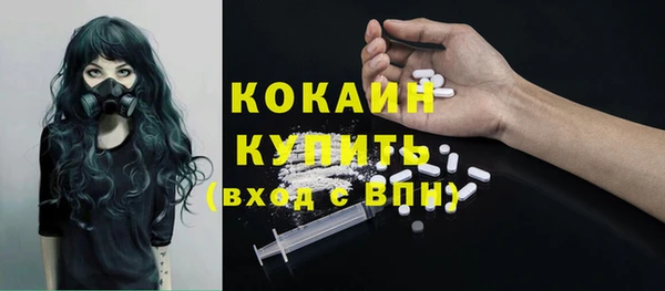 стафф Вяземский