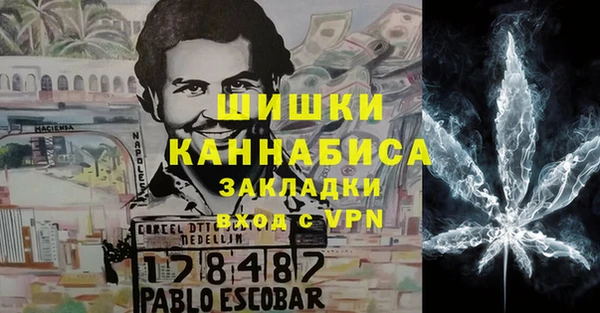 прущие грибы Усинск
