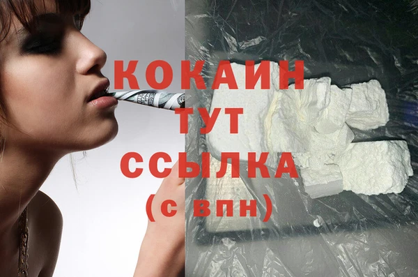 стафф Вяземский
