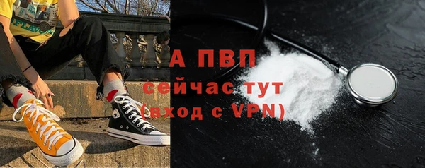 стафф Вяземский
