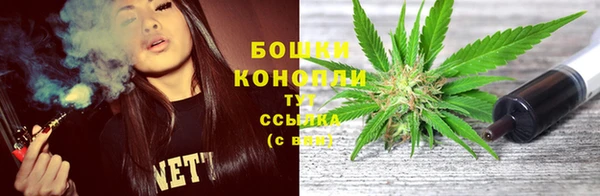 стафф Вяземский