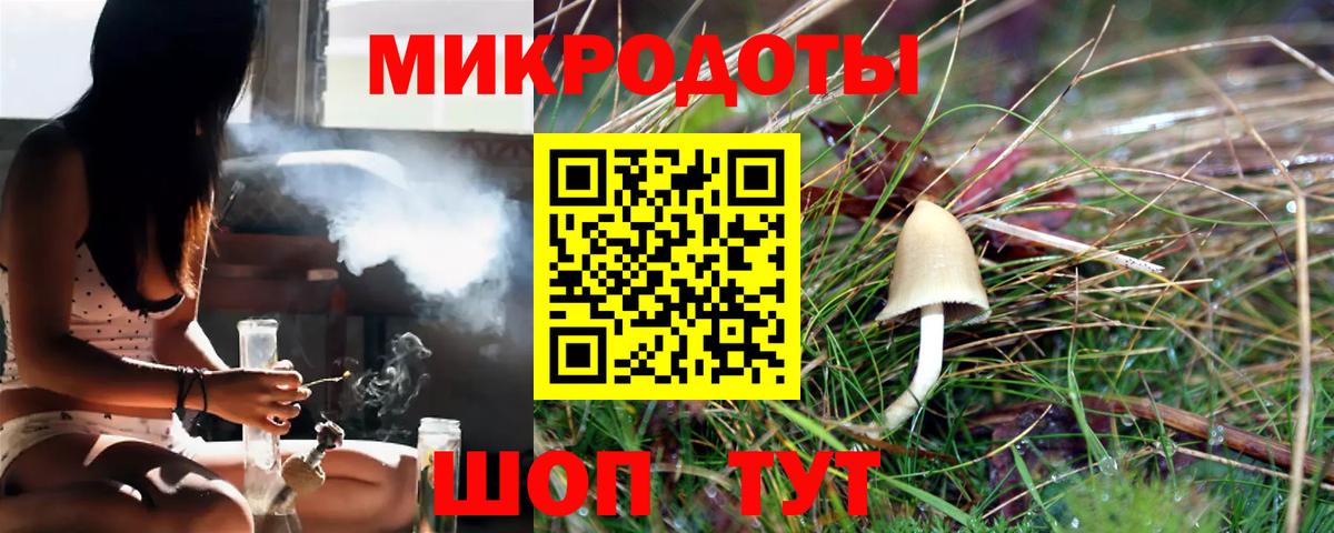Снежинск  Галлюциногенные грибы Psilocybine cubensis  Вход с VPN 